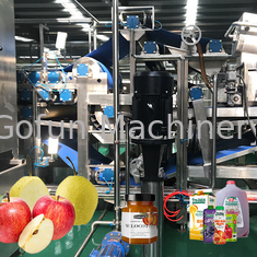 Tiêu chuẩn thực phẩm Dây chuyền chế biến táo SUS 304 Máy ép lạnh Dây chuyền chế biến nước ép trái cây